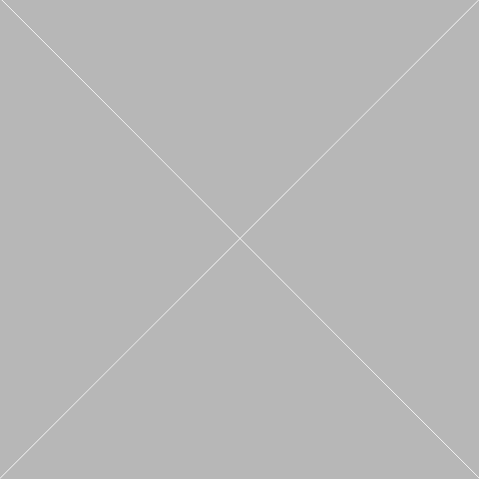 grey rectangle