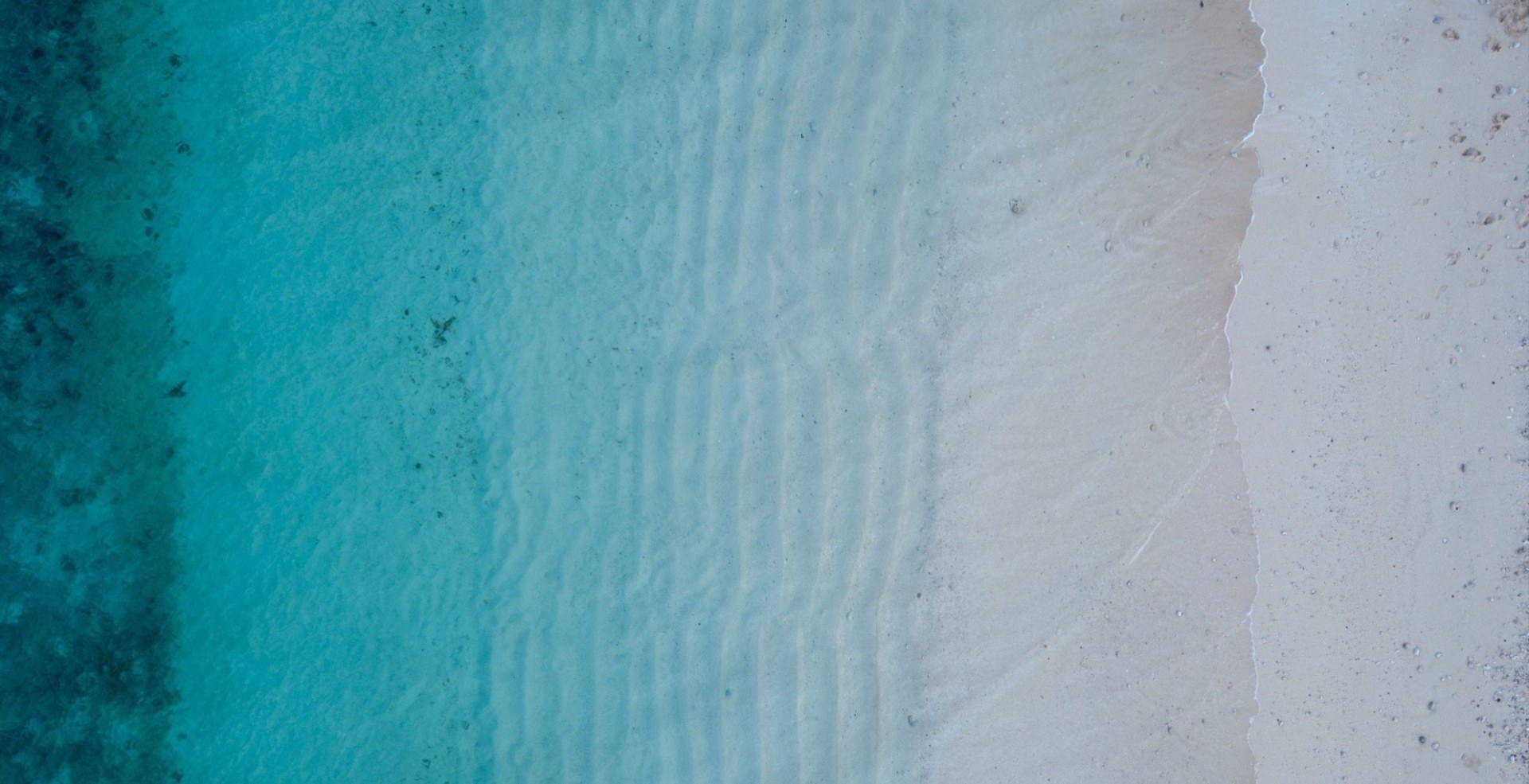 bird view of pastel waves over sand beach