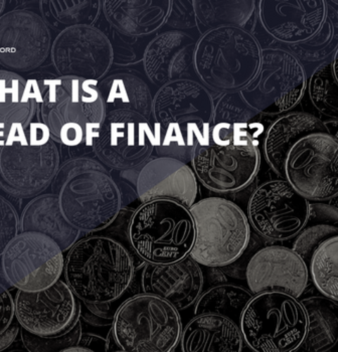 What Is A Head Of Finance Infographic